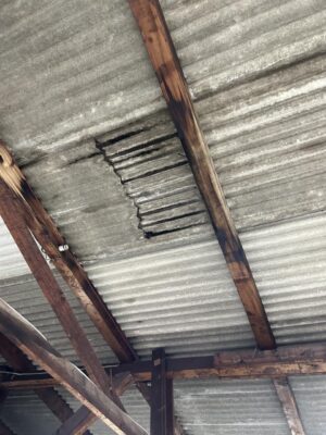 image0_6.jpeg