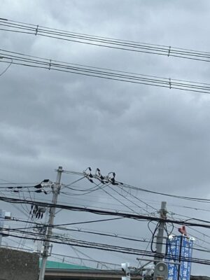image0_8.jpeg
