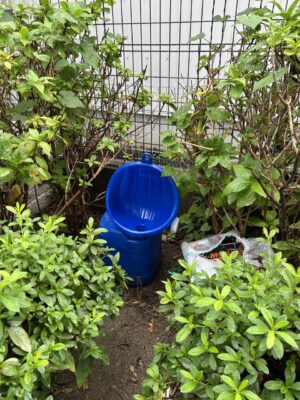 image0_7.jpeg
